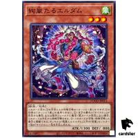 Magnifistorming Erdam DOOD-JP013 [N] Normal Doom of Dimensions Yugioh Japan