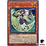 Dracotail Phrixl DOOD-JP023 [R] Rare Doom of Dimensions Yugioh Japanese