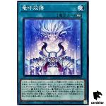 Draco Stand-Off DOOD-JP064 [N] Normal Doom of Dimensions Yugioh Japanese