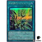 Doom-Z Command D.O.O.M.D.U.R.G. DOOD-JP058 [ScR] Secret Doom Yugioh Japan