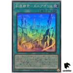 Enneapolis the Sinquisition City DBPR-JP024 [SR] Super Rare Phantom R Yugioh