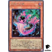 Snake Eyes Poplar 25LP-JP002 [ScR] Secret [WCS2025 Logo] Yugioh Japanese