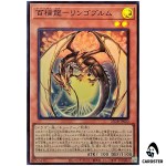 Ringowurm Dragon Guarding Hundred Apples 25DB-JP020 [SR] Super Rare Yugioh