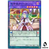 Patissciel Couverture 25DB-JP030 [NPR] Normal Parallel Prism Summon Yugioh