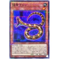 Poisonous Viper 26PP-JP005 [NPR] Normal Parallel Premium Pack 2026 Yugioh JP