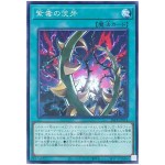 Thorn Fangs of Violet Poison 26PP-JP014 [N] Normal Premium Pack 2026 Yugioh