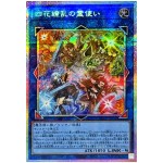 Four Charmers in Profusion BLZD-JP050 [PSCR] Prismatic Secret Blazing Yugioh