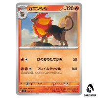 Pyroar C 128/742 MC Start Deck 100 Battle Collection Pokemon Japanese